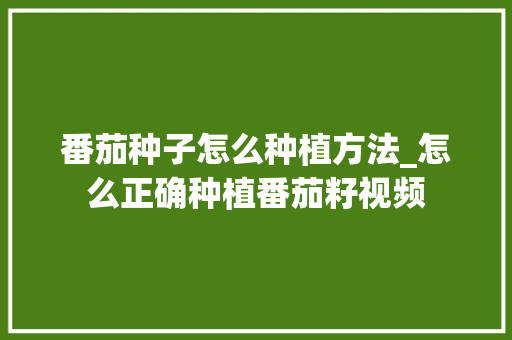 番茄种子怎么种植方法_怎么正确种植番茄籽视频 番茄种子怎么种植方法_怎么正确种植番茄籽视频 番茄种植技巧