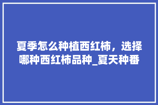 夏季怎么种植西红柿,选择哪种西红柿品种_夏天种番茄苗怎么种植视频 农业常识 夏季怎么种植西红柿,选择哪种西红柿品种_夏天种番茄苗怎么种植视频 夏季怎么种植西红柿,选择哪种西红柿品种_夏天种番茄苗怎么种植视频 农业常识