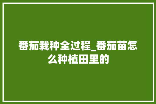 番茄栽种全过程_番茄苗怎么种植田里的 番茄栽种全过程_番茄苗怎么种植田里的 番茄病虫害防治