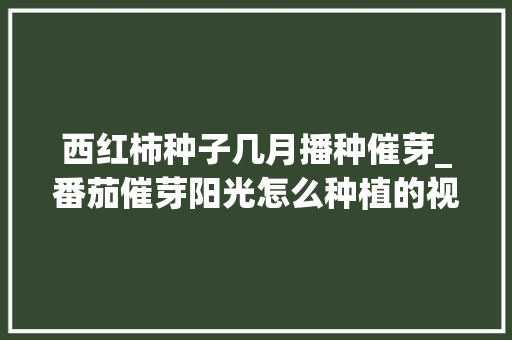 西红柿种子几月播种催芽_番茄催芽阳光怎么种植的视频 西红柿种子几月播种催芽_番茄催芽阳光怎么种植的视频 种植技巧