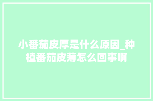 小番茄皮厚是什么原因_种植番茄皮薄怎么回事啊 小番茄皮厚是什么原因_种植番茄皮薄怎么回事啊 植物种类