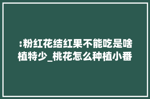 :粉红花结红果不能吃是啥植特少_桃花怎么种植小番茄视频 :粉红花结红果不能吃是啥植特少_桃花怎么种植小番茄视频 番茄种植技巧