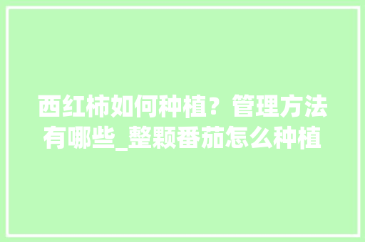 西红柿如何种植?管理方法有哪些_整颗番茄怎么种植的视频 番茄种植技巧 西红柿如何种植?管理方法有哪些_整颗番茄怎么种植的视频 西红柿如何种植?管理方法有哪些_整颗番茄怎么种植的视频 番茄种植技巧