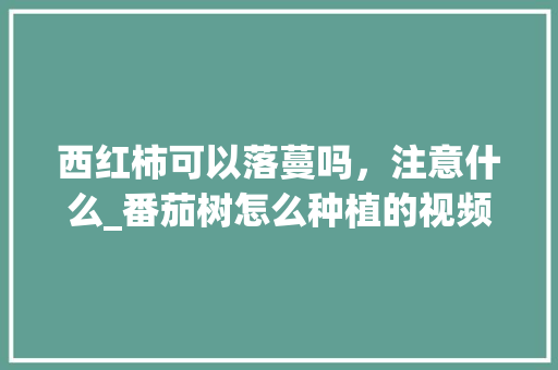西红柿可以落蔓吗，注意什么_番茄树怎么种植的视频教程 西红柿可以落蔓吗，注意什么_番茄树怎么种植的视频教程 植物种类