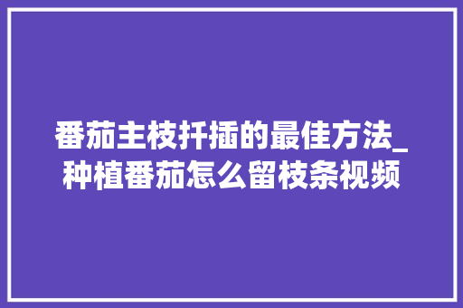 番茄主枝扦插的最佳方法_种植番茄怎么留枝条视频 番茄主枝扦插的最佳方法_种植番茄怎么留枝条视频 种植技巧