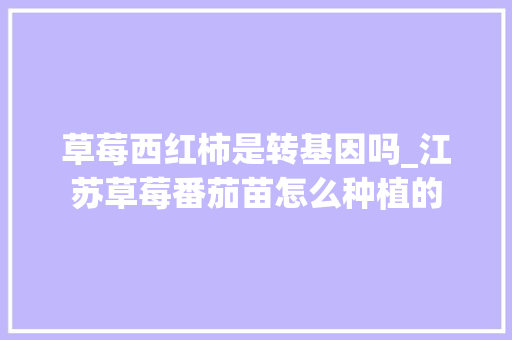 草莓西红柿是转基因吗_江苏草莓番茄苗怎么种植的 草莓西红柿是转基因吗_江苏草莓番茄苗怎么种植的 农业常识