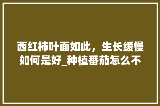 西红柿叶面如此，生长缓慢如何是好_种植番茄怎么不长根呢