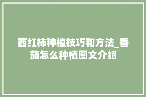 西红柿种植技巧和方法_番茄怎么种植图文介绍 西红柿种植技巧和方法_番茄怎么种植图文介绍 土壤施肥