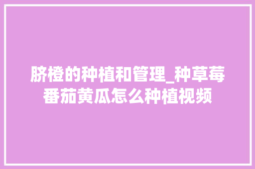 脐橙的种植和管理_种草莓番茄黄瓜怎么种植视频