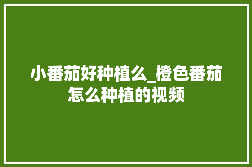小番茄好种植么_橙色番茄怎么种植的视频