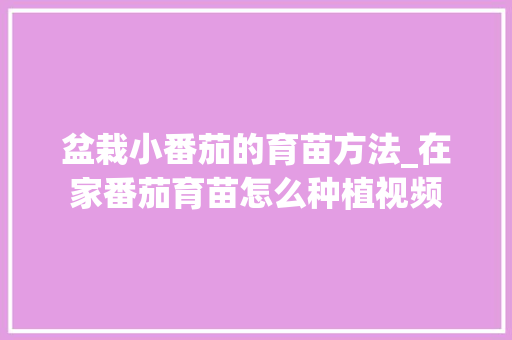 盆栽小番茄的育苗方法_在家番茄育苗怎么种植视频 花朵知识 盆栽小番茄的育苗方法_在家番茄育苗怎么种植视频 盆栽小番茄的育苗方法_在家番茄育苗怎么种植视频 花朵知识