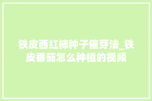 铁皮西红柿种子催芽法_铁皮番茄怎么种植的视频 铁皮西红柿种子催芽法_铁皮番茄怎么种植的视频 番茄病虫害防治