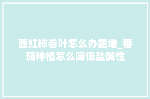 西红柿卷叶怎么办露地_番茄种植怎么降低盐碱性