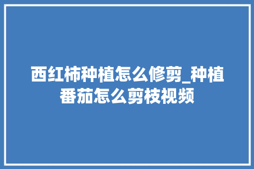 西红柿种植怎么修剪_种植番茄怎么剪枝视频 西红柿种植怎么修剪_种植番茄怎么剪枝视频 番茄种植技巧
