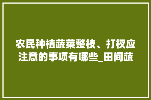 农民种植蔬菜整枝、打杈应注意的事项有哪些_田间蔬菜种植技巧视频教程