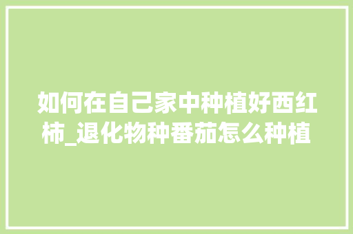 如何在自己家中种植好西红柿_退化物种番茄怎么种植的 如何在自己家中种植好西红柿_退化物种番茄怎么种植的 土壤施肥