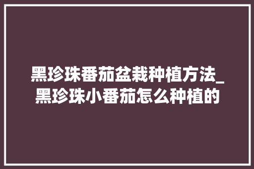 黑珍珠番茄盆栽种植方法_黑珍珠小番茄怎么种植的 黑珍珠番茄盆栽种植方法_黑珍珠小番茄怎么种植的 番茄病虫害防治