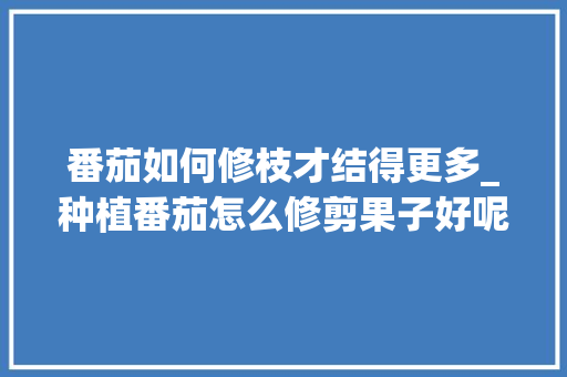 番茄如何修枝才结得更多_种植番茄怎么修剪果子好呢 番茄如何修枝才结得更多_种植番茄怎么修剪果子好呢 种植技巧