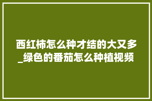 西红柿怎么种才结的大又多_绿色的番茄怎么种植视频教程