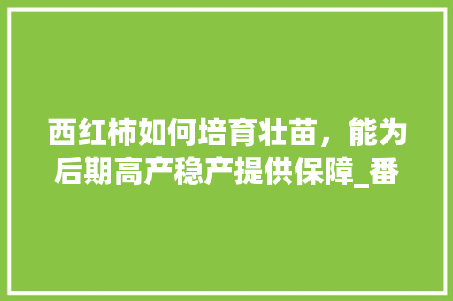 西红柿如何培育壮苗,能为后期高产稳产提供保障_番茄营养苗怎么种植视频 花朵知识 西红柿如何培育壮苗,能为后期高产稳产提供保障_番茄营养苗怎么种植视频 西红柿如何培育壮苗,能为后期高产稳产提供保障_番茄营养苗怎么种植视频 花朵知识