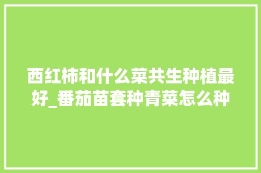 西红柿和什么菜共生种植最好_番茄苗套种青菜怎么种植视频 西红柿和什么菜共生种植最好_番茄苗套种青菜怎么种植视频 农业常识