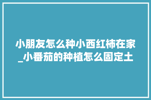 小朋友怎么种小西红柿在家_小番茄的种植怎么固定土壤