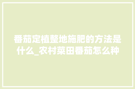 番茄定植整地施肥的方法是什么_农村菜田番茄怎么种植方法视频 番茄定植整地施肥的方法是什么_农村菜田番茄怎么种植方法视频 番茄种植技巧
