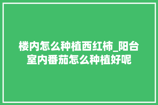 楼内怎么种植西红柿_阳台室内番茄怎么种植好呢 楼内怎么种植西红柿_阳台室内番茄怎么种植好呢 土壤施肥