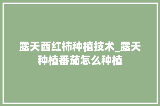 露天西红柿种植技术_露天种植番茄怎么种植