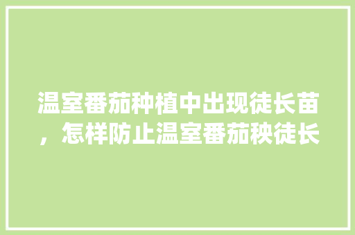 温室番茄种植中出现徒长苗，怎样防止温室番茄秧徒长_番茄苗苗怎么种植的视频