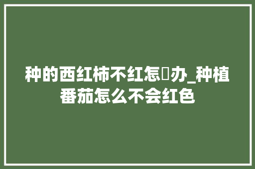 种的西红柿不红怎麼办_种植番茄怎么不会红色 种的西红柿不红怎麼办_种植番茄怎么不会红色 花朵知识