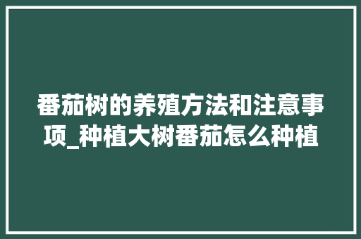 番茄树的养殖方法和注意事项_种植大树番茄怎么种植好呢 番茄种植技巧 番茄树的养殖方法和注意事项_种植大树番茄怎么种植好呢 番茄树的养殖方法和注意事项_种植大树番茄怎么种植好呢 番茄种植技巧