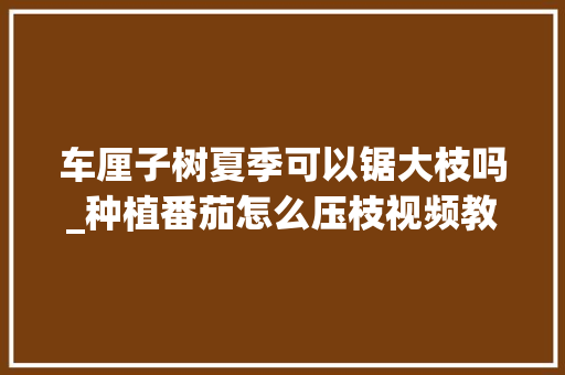 车厘子树夏季可以锯大枝吗_种植番茄怎么压枝视频教程