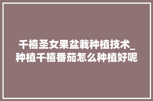 千禧圣女果盆栽种植技术_种植千禧番茄怎么种植好呢 千禧圣女果盆栽种植技术_种植千禧番茄怎么种植好呢 土壤施肥