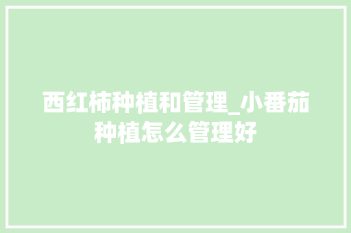 西红柿种植和管理_小番茄种植怎么管理好 西红柿种植和管理_小番茄种植怎么管理好 植物种类