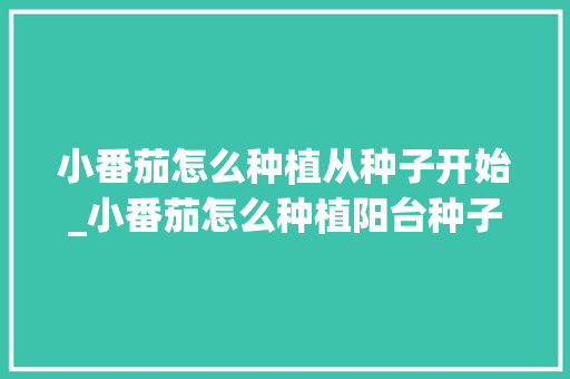 小番茄怎么种植从种子开始_小番茄怎么种植阳台种子图片 小番茄怎么种植从种子开始_小番茄怎么种植阳台种子图片 植物种类
