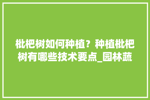 枇杷树如何种植？种植枇杷树有哪些技术要点_园林蔬菜种植技巧有哪些方面 枇杷树如何种植？种植枇杷树有哪些技术要点_园林蔬菜种植技巧有哪些方面 番茄病虫害防治