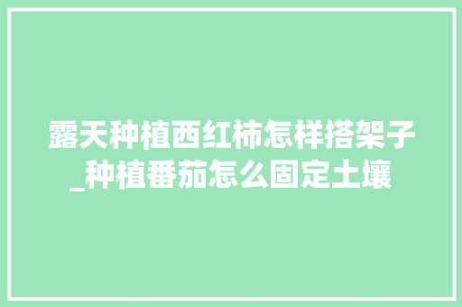 露天种植西红柿怎样搭架子_种植番茄怎么固定土壤 露天种植西红柿怎样搭架子_种植番茄怎么固定土壤 花朵知识