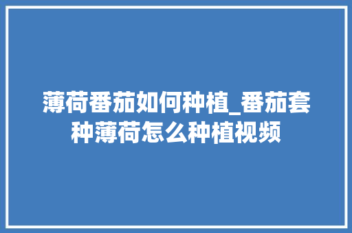 薄荷番茄如何种植_番茄套种薄荷怎么种植视频