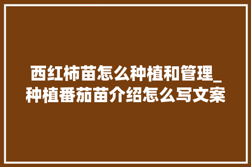 西红柿苗怎么种植和管理_种植番茄苗介绍怎么写文案 西红柿苗怎么种植和管理_种植番茄苗介绍怎么写文案 土壤施肥