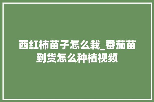 西红柿苗子怎么栽_番茄苗到货怎么种植视频 西红柿苗子怎么栽_番茄苗到货怎么种植视频 番茄种植技巧