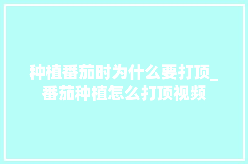 种植番茄时为什么要打顶_番茄种植怎么打顶视频