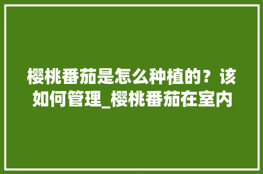 樱桃番茄是怎么种植的?该如何管理_樱桃番茄在室内怎么种植视频 土壤施肥 樱桃番茄是怎么种植的?该如何管理_樱桃番茄在室内怎么种植视频 樱桃番茄是怎么种植的?该如何管理_樱桃番茄在室内怎么种植视频 土壤施肥
