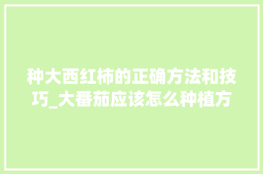 种大西红柿的正确方法和技巧_大番茄应该怎么种植方法视频 种大西红柿的正确方法和技巧_大番茄应该怎么种植方法视频 土壤施肥