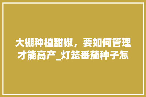 大棚种植甜椒，要如何管理才能高产_灯笼番茄种子怎么种植视频 大棚种植甜椒，要如何管理才能高产_灯笼番茄种子怎么种植视频 土壤施肥