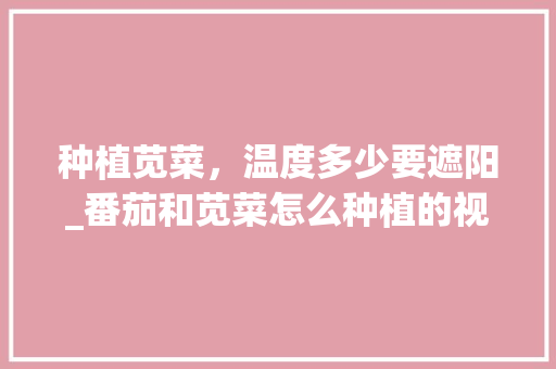 种植苋菜，温度多少要遮阳_番茄和苋菜怎么种植的视频