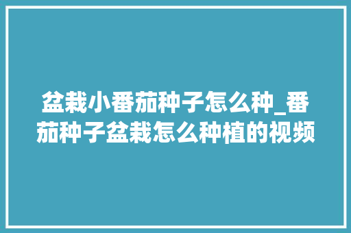 盆栽小番茄种子怎么种_番茄种子盆栽怎么种植的视频 盆栽小番茄种子怎么种_番茄种子盆栽怎么种植的视频 种植技巧