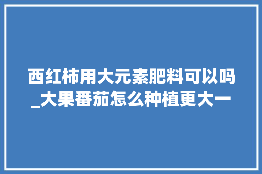西红柿用大元素肥料可以吗_大果番茄怎么种植更大一些 西红柿用大元素肥料可以吗_大果番茄怎么种植更大一些 土壤施肥