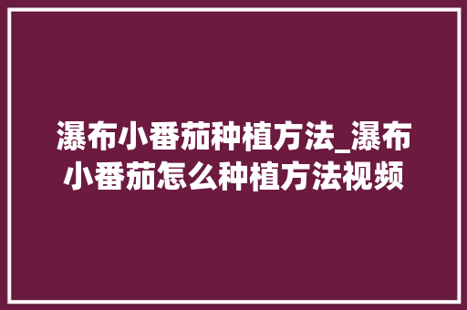 瀑布小番茄种植方法_瀑布小番茄怎么种植方法视频 瀑布小番茄种植方法_瀑布小番茄怎么种植方法视频 种植技巧