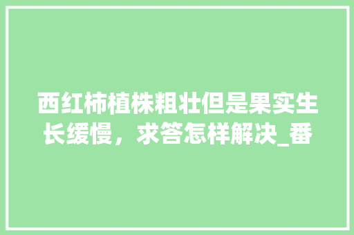 西红柿植株粗壮但是果实生长缓慢，求答怎样解决_番茄种植怎么养粗壮好呢 西红柿植株粗壮但是果实生长缓慢，求答怎样解决_番茄种植怎么养粗壮好呢 农业常识